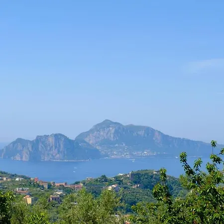 Holiday home Domus Aqua Viva Massa Lubrense